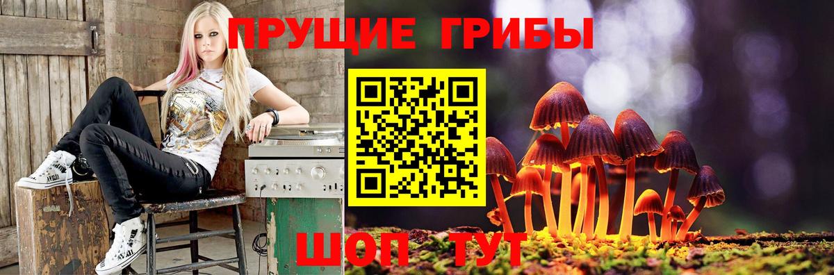 Псилоцибиновые грибы GOLDEN TEACHER Свободный